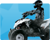 Wheeled Sport Safety